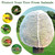 TLSTGO 10x10FT Large Fruit Tree Netting with Zipper and Drawstring Tree Netting for Cicadas Fruit Blueberry Bushes Ultra Fine Garden Net Protection Prevent Animals Birds Plant Covers Mesh TLSTGO 10x10FT Large Fruit Tree Netting with Zipper and Drawstring Tree Netting for Cicadas Fruit Blueberry Bushes Ultra Fine Garden Net Protection Prevent Animals Birds Plant Covers Mesh