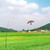Bird Hawk Flying Kite with Pole Crop Protector Bird Scare Flying Kite with 4m Pole Has The Effect of Scaring Birds