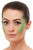Smiffys Make-Up FX, Reptile Aqua Kit