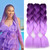 BACANA Purple Braiding Hair Ombre (Purple/Light Purple) 3pcs Jumbo Braiding Hair Extensions for Crochet Braids Twist 24 Inch 100G Hot Water Seal Soft Synthetic Fiber