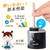 Tihoo Electric Pencil Sharpener Electric Sharpener Electric Manual Dual-Byte Units to take Out The Spare Sharpener Blade with Double Sharpener Prevent Automatic Child School Office Black