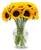 Stargazer Barn - 10 Stem Sunflowers (Vase Not Included) - Fresh Flowers for Delivery - Gift for Anniversary, Birthday, Congratulations, Get Well, Graduation, Sympathy