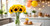 Stargazer Barn - 10 Stem Sunflowers (Vase Not Included) - Fresh Flowers for Delivery - Gift for Anniversary, Birthday, Congratulations, Get Well, Graduation, Sympathy
