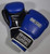 Gym Training Stand-Up Boxing Gloves (Blue, Large Weighs 16oz)