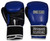 Gym Training Stand-Up Boxing Gloves (Blue, Large Weighs 16oz)