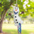 Disney Olaf 3D Pinata (1 Pc.) - Enchanting Party Accessory for Magical & Memorable Moments