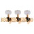 Golden Gate F-2112 Classical Guitar Tuners - 2 Planks (3+3) - Gold & Black
