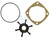 StayCoolPumps SCP-17556 New Impeller, Gasket and O-Ring for Oberdorfer Pump 202 Series
