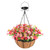 Solar Hanging Artificial Flower Basket: Light up Fake Plant with Colorful Lights 2 Lighting Modes for Outdoor - 10 Inch Lighted Hanging Baskets with Pink Faux Flowers for Porch Garden Patio House
