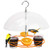 Solution4Patio Baltimore Oriole Feeder, Orange Halves Fruit & Grape Jelly, and Mealworm for Bluebirds, Weather Guard Squirrel Baffle #G-B312A00-US