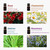 BURIBURI 8Pcs Essential Oils Set Neroli Essential Oil Gift Set for Massage, Diffusers, Soap Making, Lime, Verbena, Neroli, Gardenia, Chamomile, Rose, Vetiver, Rosemary