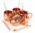 ALARUE Moscow Mule Copper Mugs Set - 4 Authentic Handcrafted 16 oz. Mugs with Accessories - Food Safe Pure Solid Copper - Gift Set with Recipe Book