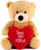 JENVIO I Love You Teddy Bear – Love You More 12 Inch Plush – Heart Stuffed Animal for Girlfriend Boyfriend Gift Age 15 and UP Valentine's Day Gift