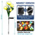 TONULAX Solar Garden Lights - Upgraded Outdoor Light, 7-Color Changing Rose Lights for Yard,Garden Decoration, Enlarged Solar Panel, More Realistic Rose Flower (2 Packs)