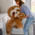 Animal Adventure | Sqoosh2Poof Giant, Cuddly, Ultra Soft Plush Stuffed Animal with Bonus Interactive Surprise - 44" Sloth