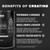 BIRDMAN Micronized Creatine Monohydrate Powder, Muscle Recovery, Caffeine Free, Creatine Pre Workout, Vegan, Post Workout, Gluten Free, Sugar Free | 80 Servings (5 Grams Each) | 0.8lb