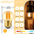 3 Watt G40 LED Light Bulbs Equivalent to 25 Watt, Dimmable E26 Standard Base Small Edison Bulbs, Warm Light 2200K, Amber Glass, 110V, 6PCS - for Bedroom and Decorative Lighting