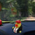 Happiesthomer Rubber Ducks Car Duck Dashboard Decoration Squeak Trump Ducks Toys 2024 Gifts for Kids Adults Car Ornaments Car Décor Accessories (Trump Duck-Fight)