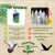 Care Free Enzymes Pigeon Bath Protector