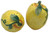 Certified International 23136 Citric Lemon Design Ceramic Salt & Pepper Shaker Set