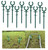 WIBBLESOX 10 Pcs Green Garden Hose Guide Stakes length holiday lights Holder Light Duty High Toughness Plastic Nails Tools For Garden Yard Plant Protection