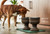 Pet Junkie Summit Single Elevated Dog Bowl Stand with Removable Stainless Steel 44oz Inner Bowl for Medium to Large Breed - Raised Dog Food or Water Station (Large, Brown) Pet Junkie Summit Single Elevated Dog Bowl Stand with Removable Stainless Steel 44oz Inner Bowl for Medium to Large Breed - Raised Dog Food or Water Station (Large, Brown)
