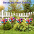 10 Pieces 21 Inches Rainbow Reflective Pinwheels with Stakes Windmill Wind Spinners Outdoor for Yard Garden Lawn Farm Decor Bird Repellent, Large Plastic Foil Pin Wheels for Birds Animal Deterrent