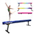 Sealoha 8ft Ultrasimple Adjustable&Foldable Balance Beam,High-Low Floor Beam Suede Gymnastics Equipment, Gymnastics Beam for Training&Professional HomeTraining (Gym Beam, Starry Sky, 8ft)