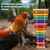 Dnoifne Large Colorful Chicken Xylophone Toy, Hanging Funny Xylophone Toy with 15 Metal Keys, Cage Toy Accessories for Chicken Chick Bird Parrot Parrot Parakeet Budgies Love Birds
