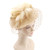 DRESHOW Fascinators Hat Mesh Veil Feathers Hat with a Headband and a Clip Tea Party Headwear for Women
