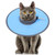 Cat Cone Collar Soft, Cat Recovery Collar to Stop Licking, Waterproof Cats Donut Collarr, Adjustable CatCollarr for Cats Kittens After Surgery, Catss Surgery Collarr (Light Blue)