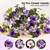 Daily Treasures 2Pack Artificial Hanging Flowers,24 Heads Silk Morning Glory Flowers Per Bouquet, Realistic Artificial Petunias for Garden Balcony Yard Porch Spring Summer Planter Decor (Purple,White)