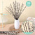 Oning 20 Stems Real Dried Pussywillow Preserved Greenery Branches for Vase- Natural Pussywillows with White Flowers, Snow Willow Branches for Easter Wedding Home Party Hotel Fireplace Yard Decor