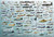 AllPosters Wall Poster Evolution Military Aircraft, 36x24