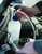 Laser 4385 Multi Purpose Mini Pump