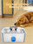 SIBAYS Dog Water Fountain Filter Replacement, 4Gal/15L Pet Fountain Filters, Made of Activated Carbon and PP Cotton, 8 Pet Water Fountain Filters, 8 Pre-Filter Sponge with 8 Pump Sponge(Model: L05) SIBAYS Dog Water Fountain Filter Replacement, 4Gal/15L Pet Fountain Filters, Made of Activated Carbon and PP Cotton, 8 Pet Water Fountain Filters, 8 Pre-Filter Sponge with 8 Pump Sponge(Model: L05)