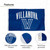 Desert Cactus Villanova University Flag – 3x5 Ft Embroidered Nylon Banner for Indoor/Outdoor Use, Wildcats Design, for Events and Home Décor (Embroidered 2)