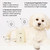 OUAI Fur Bébé Pet Shampoo, Mercer Street Scent - Dog Shampoo and Coat Wash for Hydrating, Cleansing and Adding Shine - Pet Supplies by OUAI (16 Fl Oz)