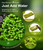 Live Moss Duo Pack 2 Types of Real Live Sheet/Sphagnum Moss for Terrariums, Terrarium Mosses Landscaping, Reptile Tank Accessories, Snake & Gecko Humidity Substrate Mosses for Crafts & Plant Décor