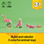 LEGO Creator 3 in 1 Wild Animals: Pink Flamingo Animal Building Toy - Playset with 3 Build Options, Pink Flamingo, Cockatoo, or Axolotl - Learning Toy for Kids, Ages 8+- 31170