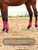 Harrison Howard Horse Tendon Boots Open Front/Fetlock Boot for Horse Protective Boots for Jumping, Trail Riding Set of 4 Hot Pink M