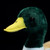 lilizzhoumax Mallard Duck Stuffed Animal,Realistic Duck Plush,Super Soft Plush,Toys for Kids,Figure Toy,Girl Toys,Gift for Kids,Duck Pillow,Home Decor(Green 12.2 inch)-1765340280