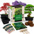 REALPETALED Bonsai Starter Kit – Japanese Bonsai Tree Kit 7 Seeds Pots – Complete Grow Your Own – Plant Lover Gifts Home Gifts for Men and Women