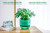 Melphoe 2 Pack Self Watering Hanging Planters Indoor Flower Pots, 6.5 Inch Outdoor Hanging Basket, Plant Hanger with 3Hooks Drainage Holes for Garden Home (Emerald)-1765344058