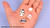 エムアイシー M-IC Prepla Figure Mask, Japanese Style, Painted Assembly Plastic Kit
