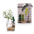 Leafriend: Plant Propagation Buddy; Plant Support for Sprouts, Stems, Shoots, and Cuttings; 3 Cute Plant Supports for a Plant Propagation Station or an Indoor Garden; Plant Lover Gifts by Peleg Design-1765346310