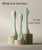 SURI Recyclable Plant-Based, Electric Toothbrush Heads - Built-in Tongue Scraper, Long Lasting Replacement Heads | Compatible Only Sonic Electric Toothbrush - Winter Fern, Pack of 3-1765346879