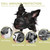 Whongkidz Dog Muzzle for Extra Small Sized Dogs, Air Mesh Dog Mouth Cover Allow Drinking No Biting Chewing for Dogs That Eat Everything (Black, XS)