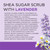 Dr Teal's Shea Sugar Scrub, Lavender Essential Oils, 19 oz (Pack of 3)