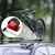 MUQZI Bicycle Rear Wheel Rack Mount Car Carrier Holder Installation for Road Mountain Bike Safe Transportation, Red MUQZI Bicycle Rear Wheel Rack Mount Car Carrier Holder Installation for Road Mountain Bike Safe Transportation, Red
